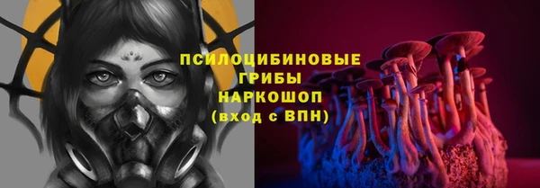 сатива Армянск