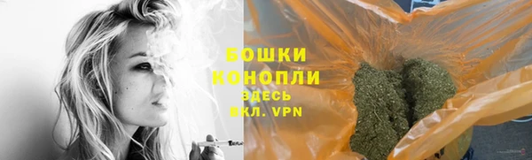 сатива Армянск