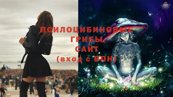 сатива Армянск
