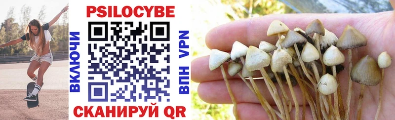 как найти   Катав-Ивановск  Псилоцибиновые грибы Cubensis 