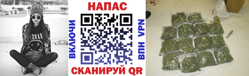 где купить наркоту  Катав-Ивановск  mega ТОР  Бошки марихуана гибрид 